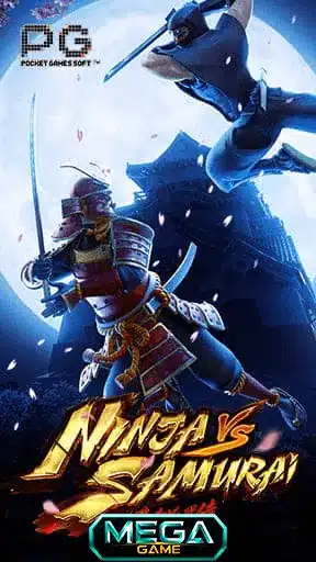 Ninja vs Samurai