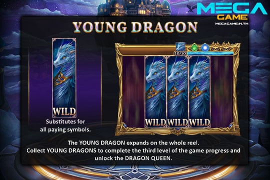 ฟีเจอร์ Young Dragon
