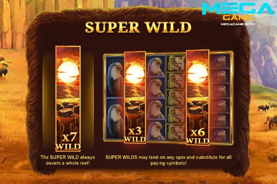 ฟีเจอร์ Super Wild Buffalo Mania