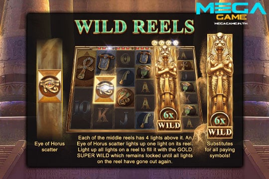 ฟีเจอร์ Wild Reels