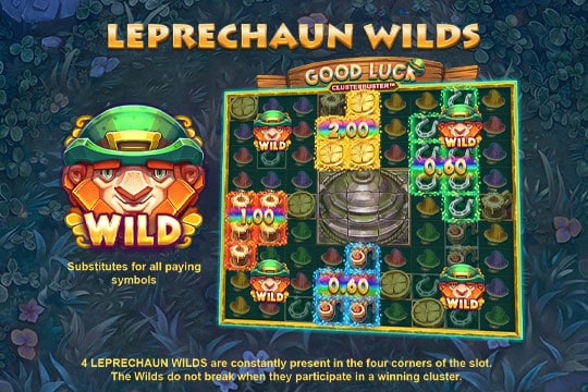 ฟีเจอร์ Leprechaun Wilds
