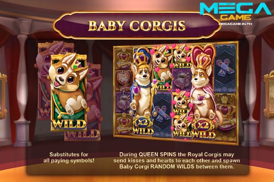 ฟีเจอร์ Baby Corgis