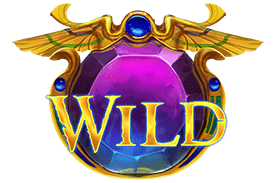 สัญลักษณ์ Wild VoA